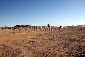 Courses de Méhari au niveau des régions de Tit - 3ème festival du dromadaire Amni dans la région de Tit (40 Km au nord de Tamanrasset)