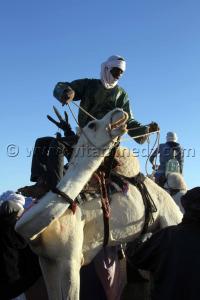 Course de Méhari au niveau des régions de Tit - 3ème festival du dromadaire Amni dans la région de Tit (40 Km au nord de Tamanrasset)