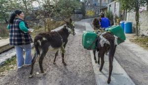 Planète - L'accès à l'eau, un problème endémique au Mexique