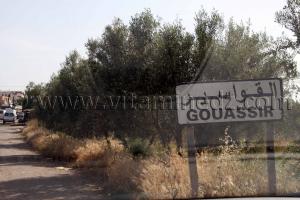 El Gouassir  Région des Beni Ouarsous - Wilaya de Tlemcen