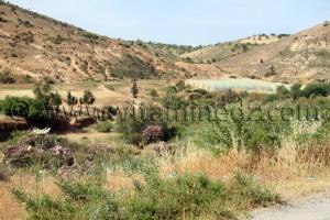 Oued Dahmane Beni Ouarsous - Wilaya de Tlemcen