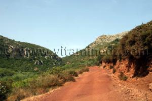 Piste au milieu des montagnes des Beni Ouarsous - Wilaya de Tlemcen