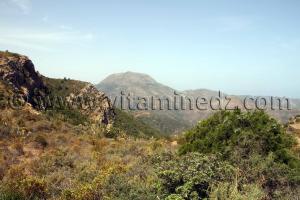 Djbel El Gorine, Beni Ouarsous - Wilaya de Tlemcen