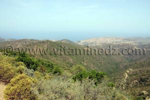 Honaine vue des Beni Ouarsous - Wilaya de Tlemcen