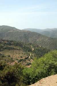 Honaïne, ses collines qui la protège