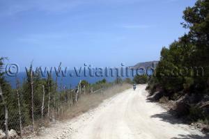 Honaïne, piste vers la plage des Ouled Salah