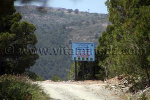 Honaïne,forêt des Ouled Salah
