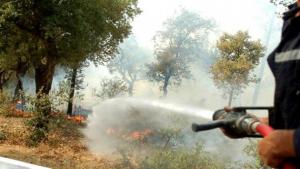 Algérie - Des mesures pour prévenir les feux de forêts en 2014 (ministre)