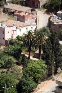 Ghazaouet, Sidi Amar