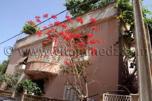 Ghazaouet, une belle maison coloniale a Sidi Amar