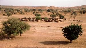 Désertification en Afrique: l’élaboration des rapports des pays membres de la Convention onusienne en débat à Marrakech