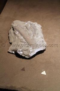 Fossiles d\'animaux préhistoriques , Tamanrasset, Musée de l\'Ahaggar (parc culturel de l’Ahaggar)