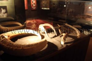 Animaux du hoggar, Tamanrasset, Musée de l\'Ahaggar (parc culturel de l’Ahaggar)