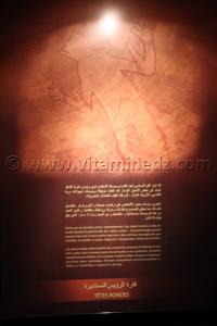 T^tes rondes, art rupestre, Tamanrasset, Musée de l\'Ahaggar (parc culturel de l’Ahaggar)