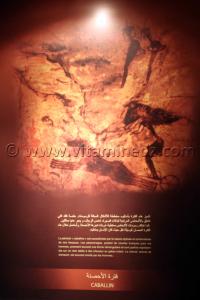 Le Caballin prehistorique, Tamanrasset, Musée de l\'Ahaggar (parc culturel de l’Ahaggar)