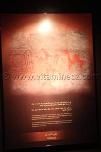 Le Camelin prehistoriques, Tamanrasset, Musée de l\'Ahaggar (parc culturel de l’Ahaggar)