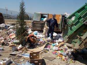 L’ Hygiène publique menacée à Blida:  Des cadavres de moutons dans une décharge !