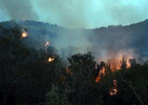 Maghreb - Tunisie: plusieurs foyers d'incendie sur un mont près de Tunis
