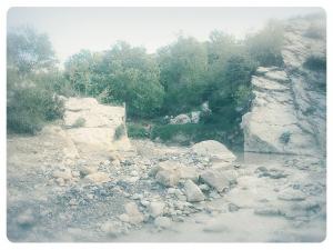 Un verger de pommier à berkane yabous