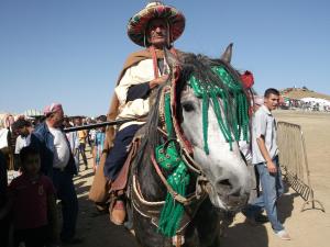 yassou djemaa ouled cheikh 2014