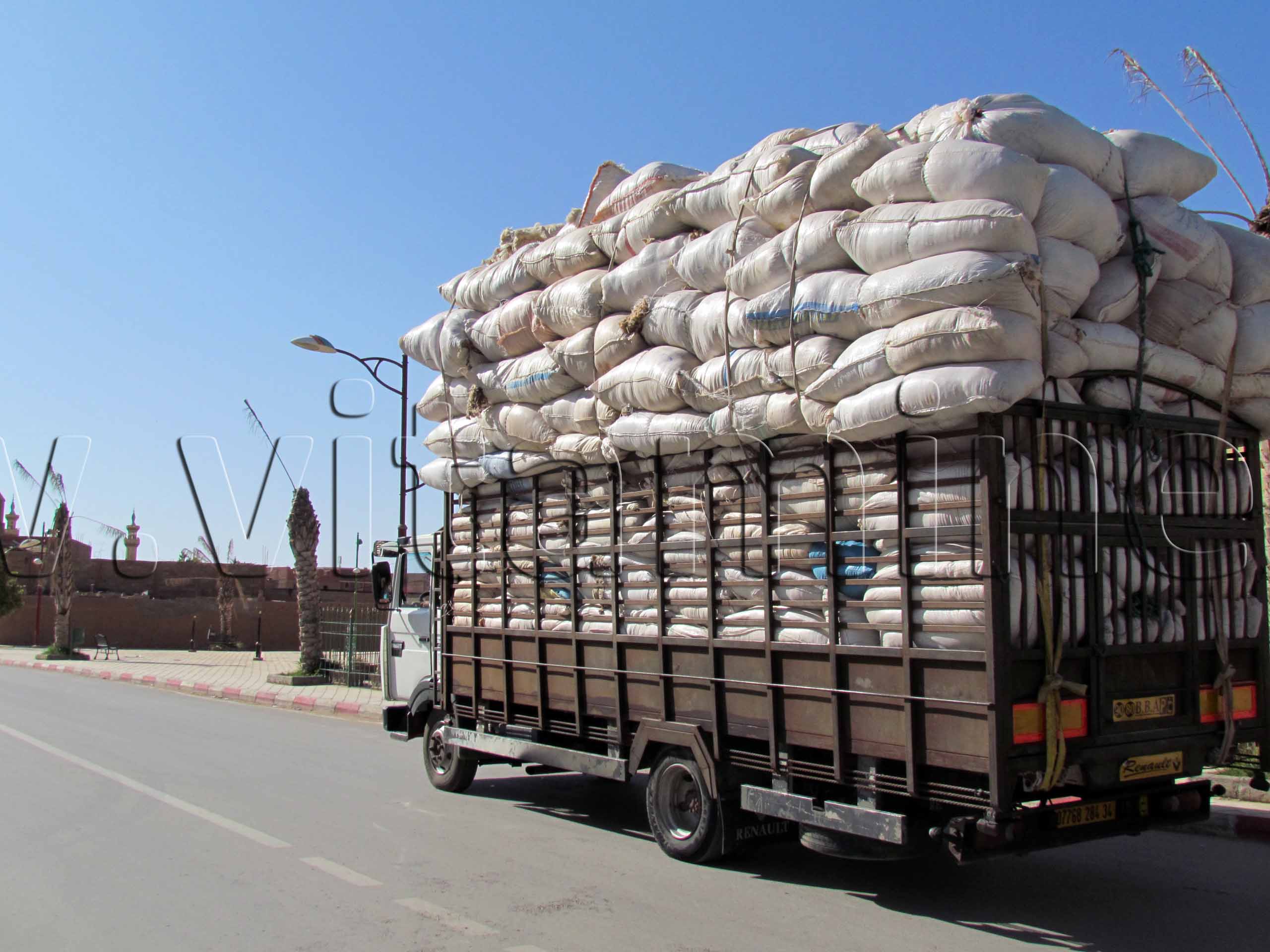 El Bayadh chargement de laine de mouton