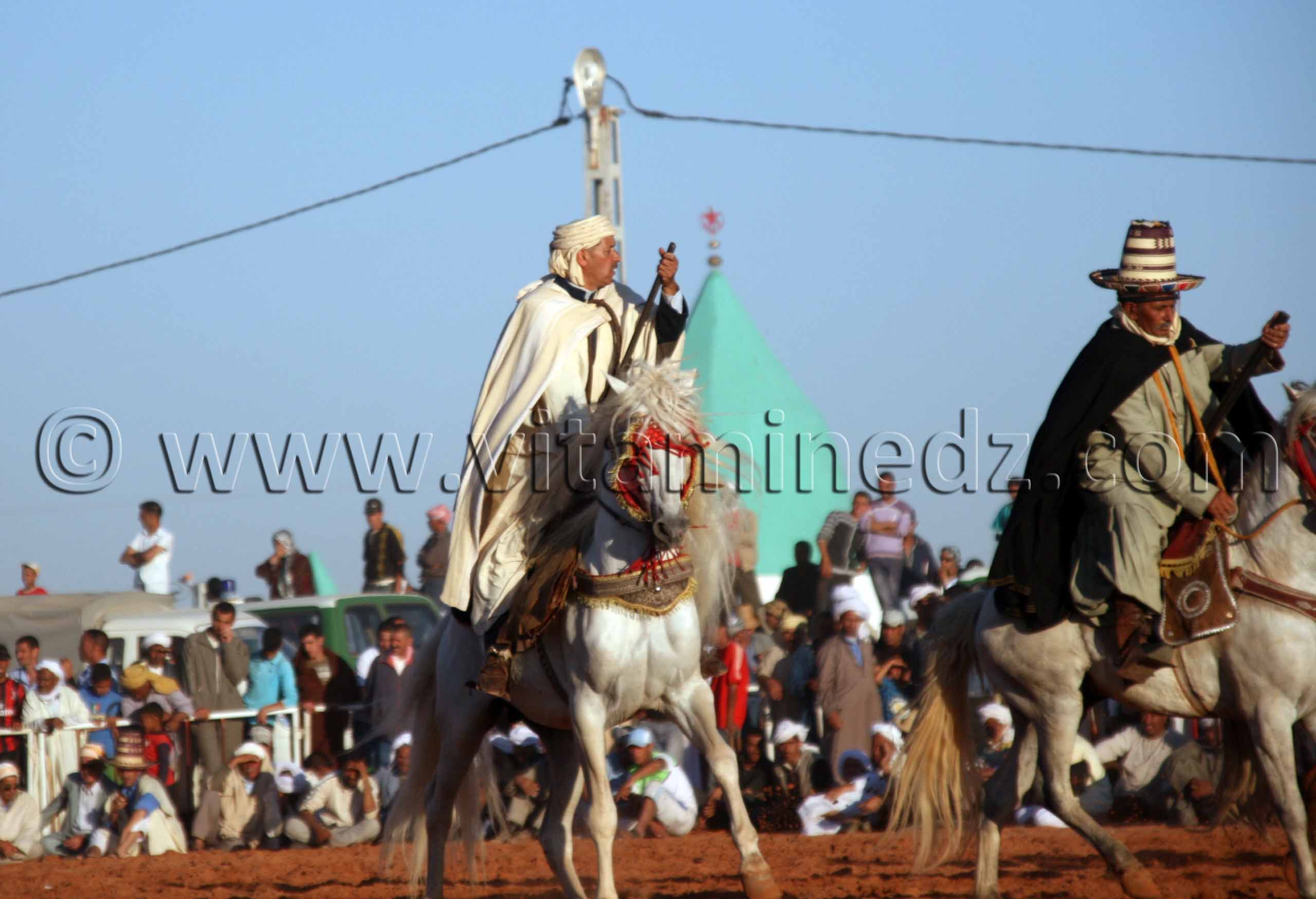 Cavalier Waada Sidi Nasser Bouherkat dans la limite de la wilaya de Bayadh et Laghouat