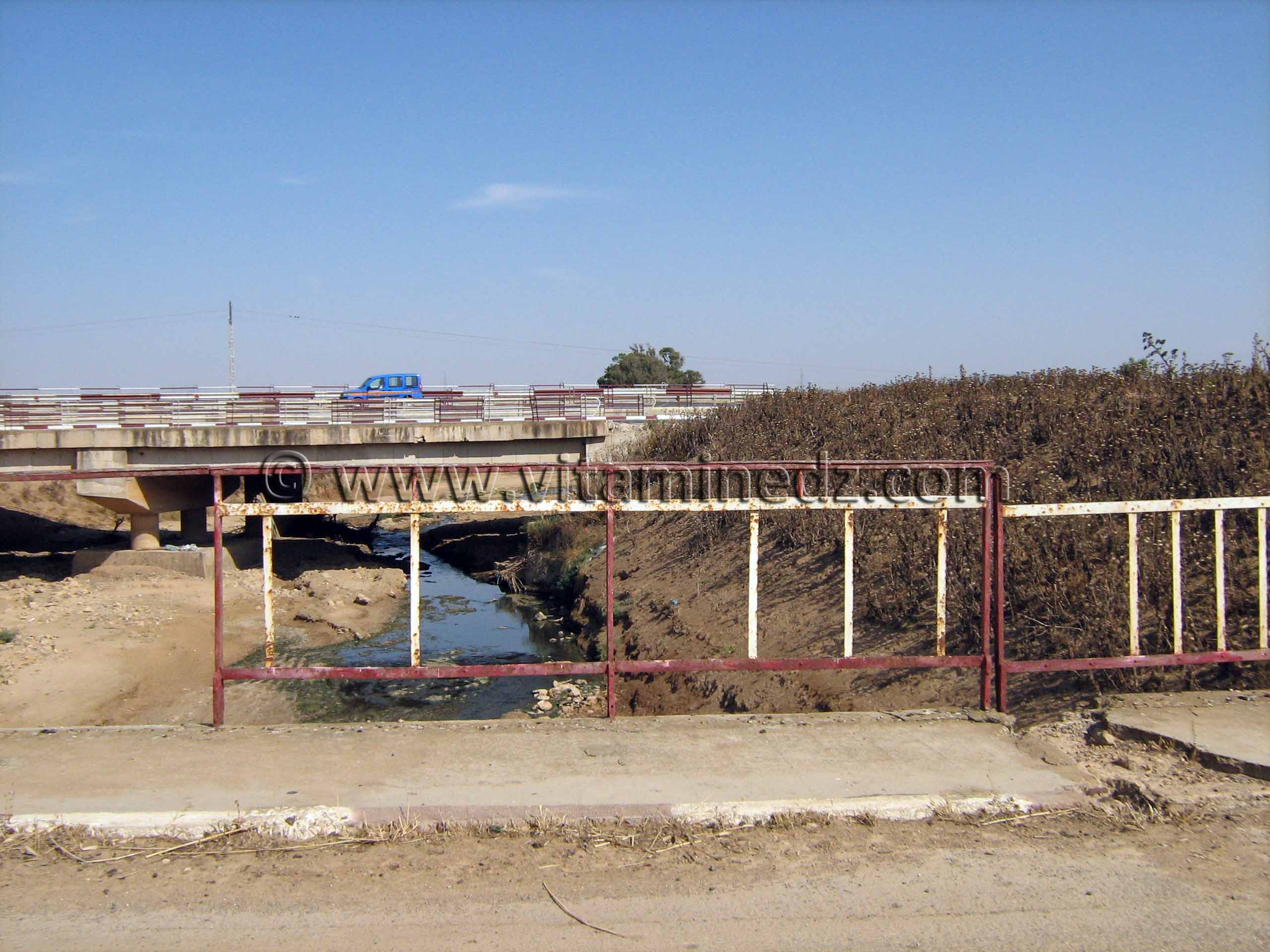 Oued El Maleh (Rio Salado), lieu supposé de la mort de Baba Arroudj