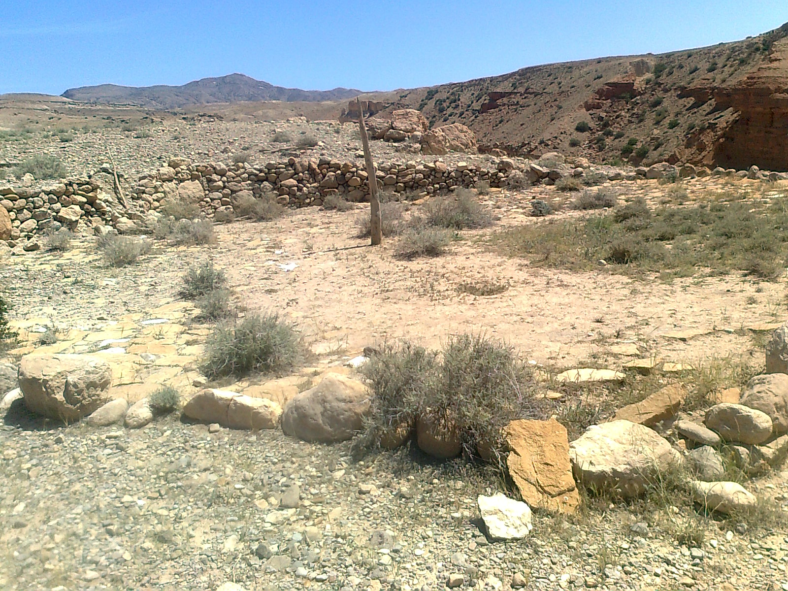 el walja el khadhra:l'aire d'abattage !