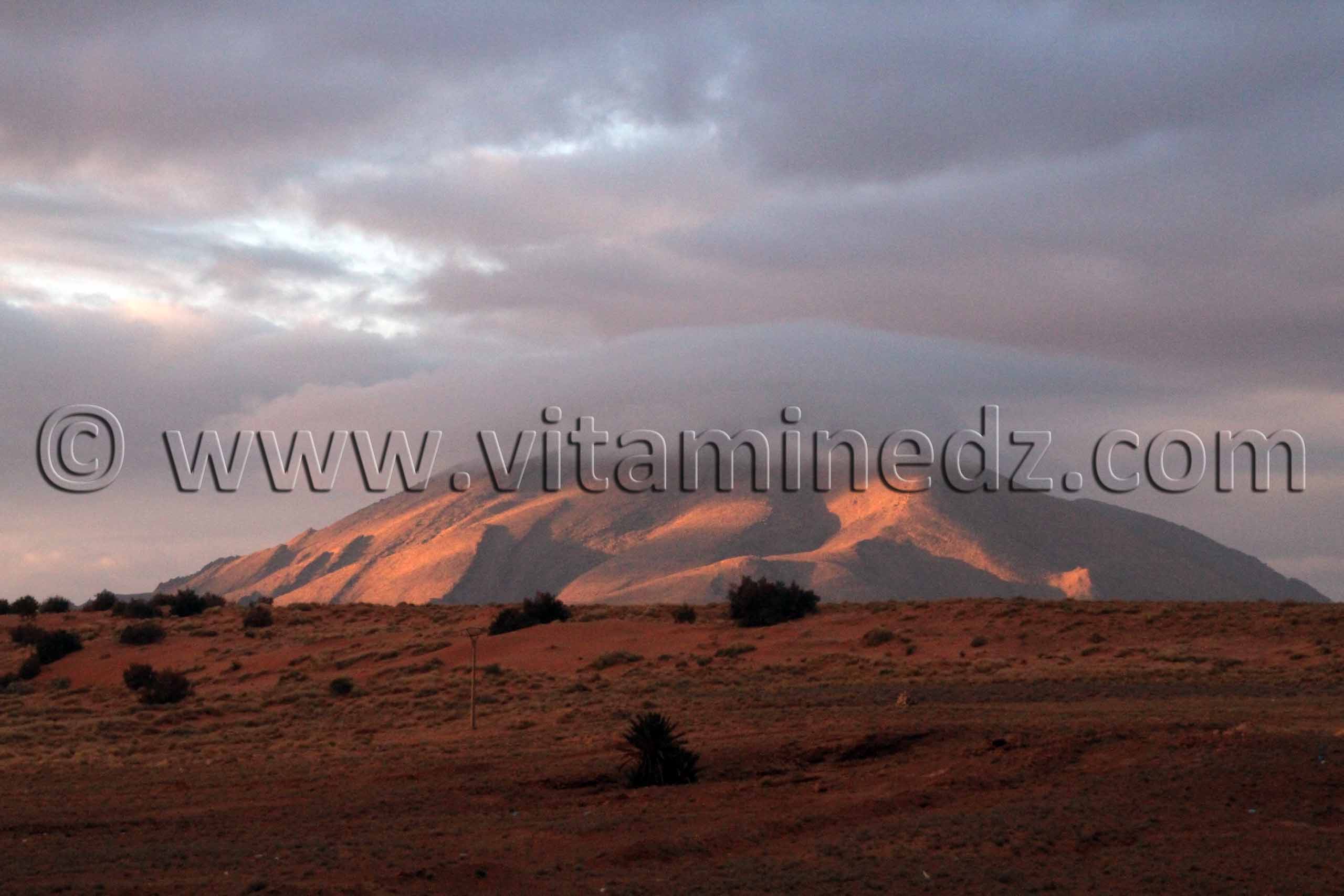 Paysages entre Chellala et Boussemghoun