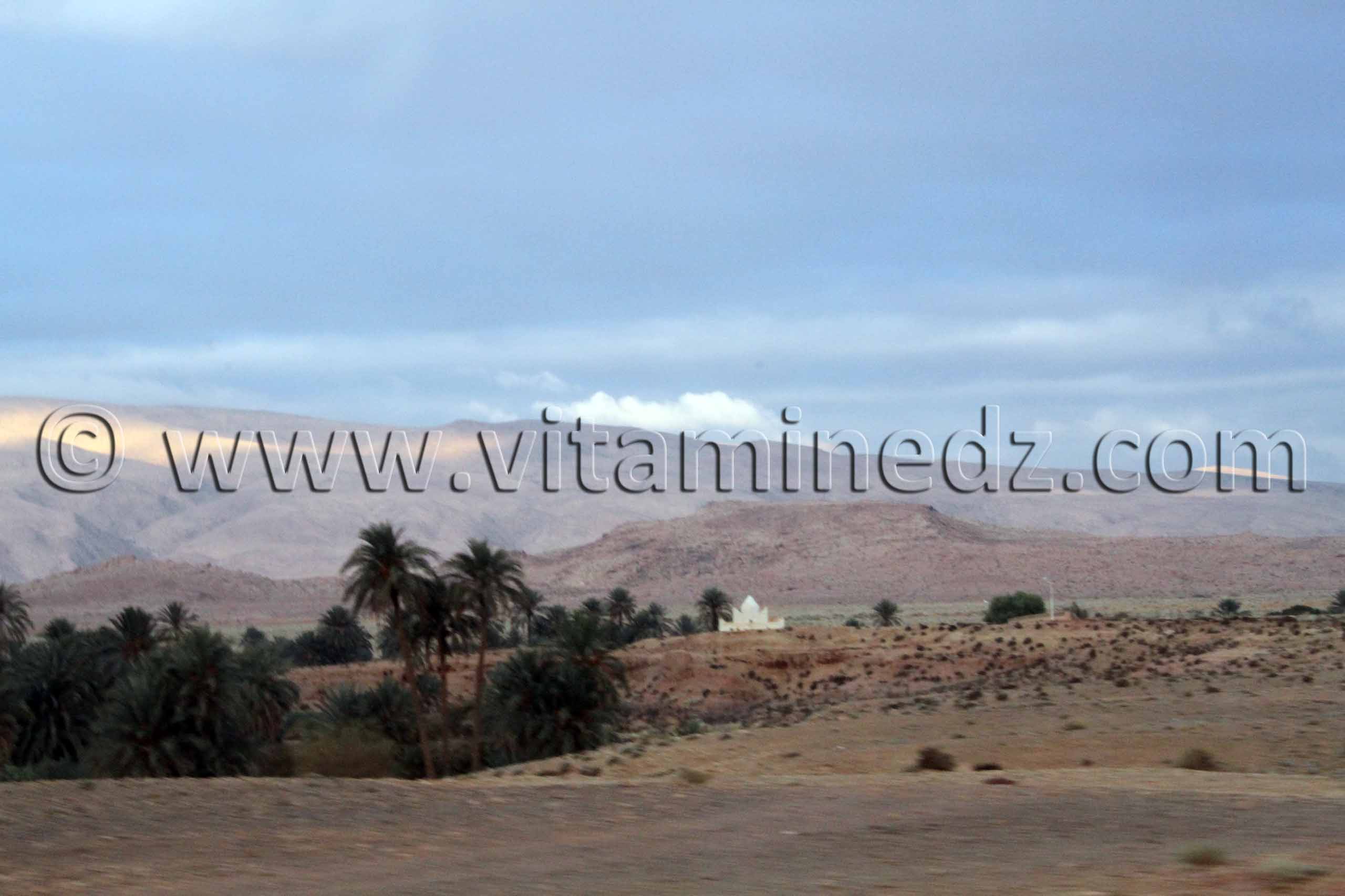 Boussemghoun et ses paysages à couper le souffre, Goubbas, Chameaux, L'oued El Gharbi