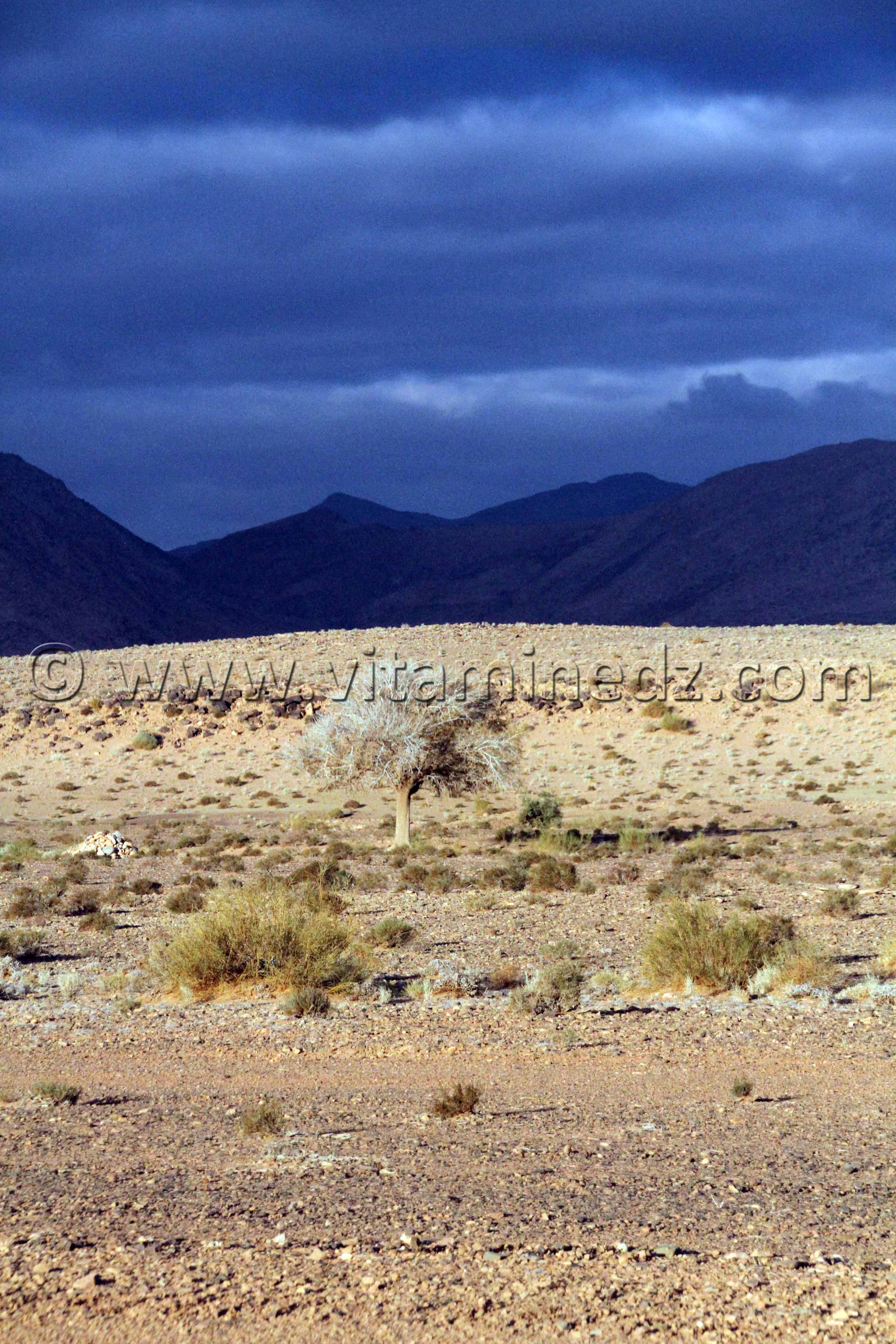 Boussemghoun et ses paysages lunaires