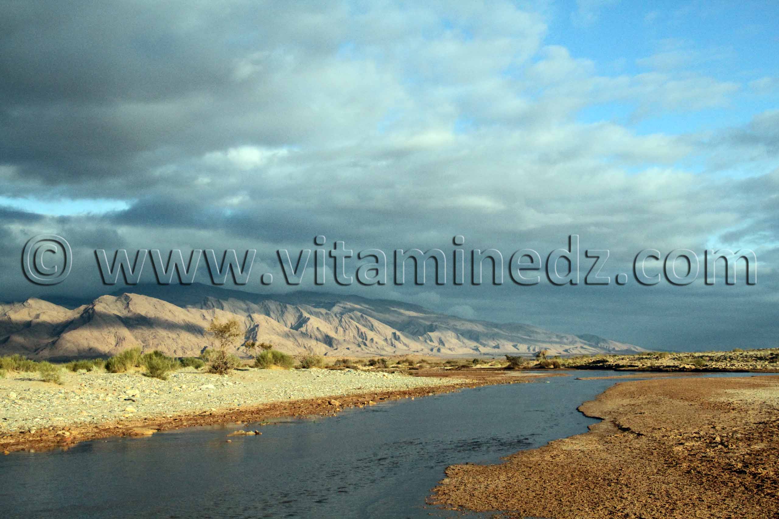 L'oued El Gharbi de Boussemghoun, vers El Bnoud