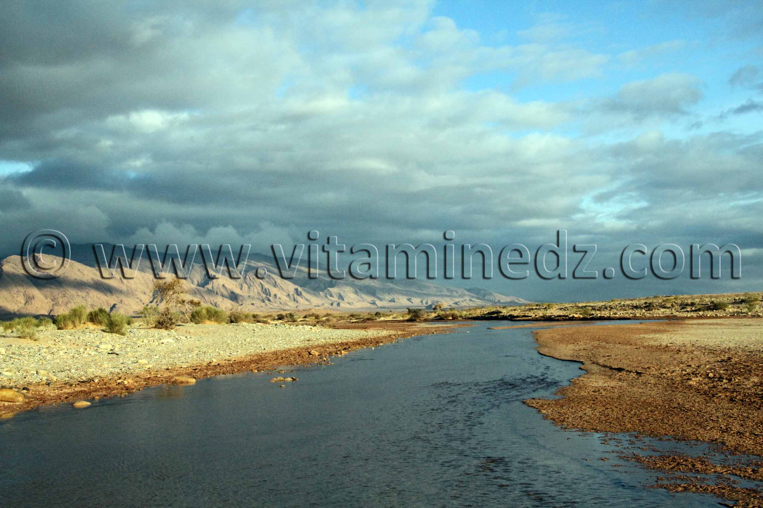 Boussemghoun et ses paysages à couper le souffle, Goubbas, Chameaux, L'oued El Gharbi