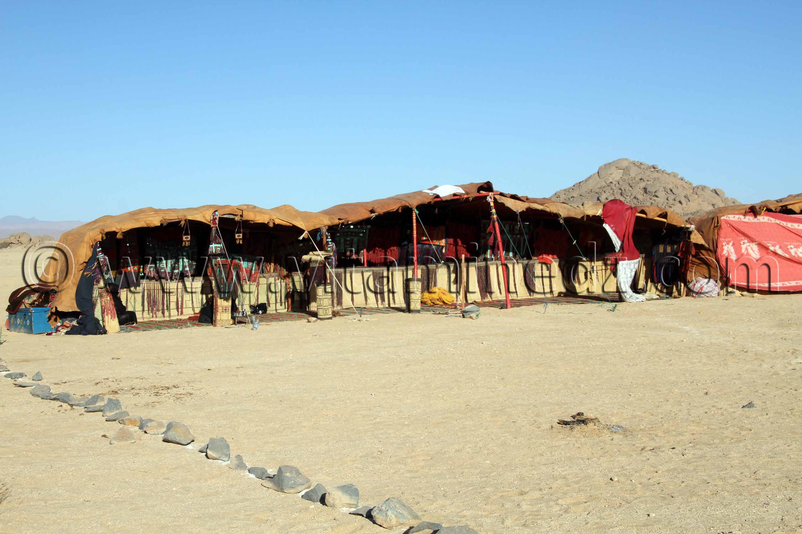 le 3ème festival du dromadaire Amni dans la région de Tit (40 Km au nord de Tamanrasset)