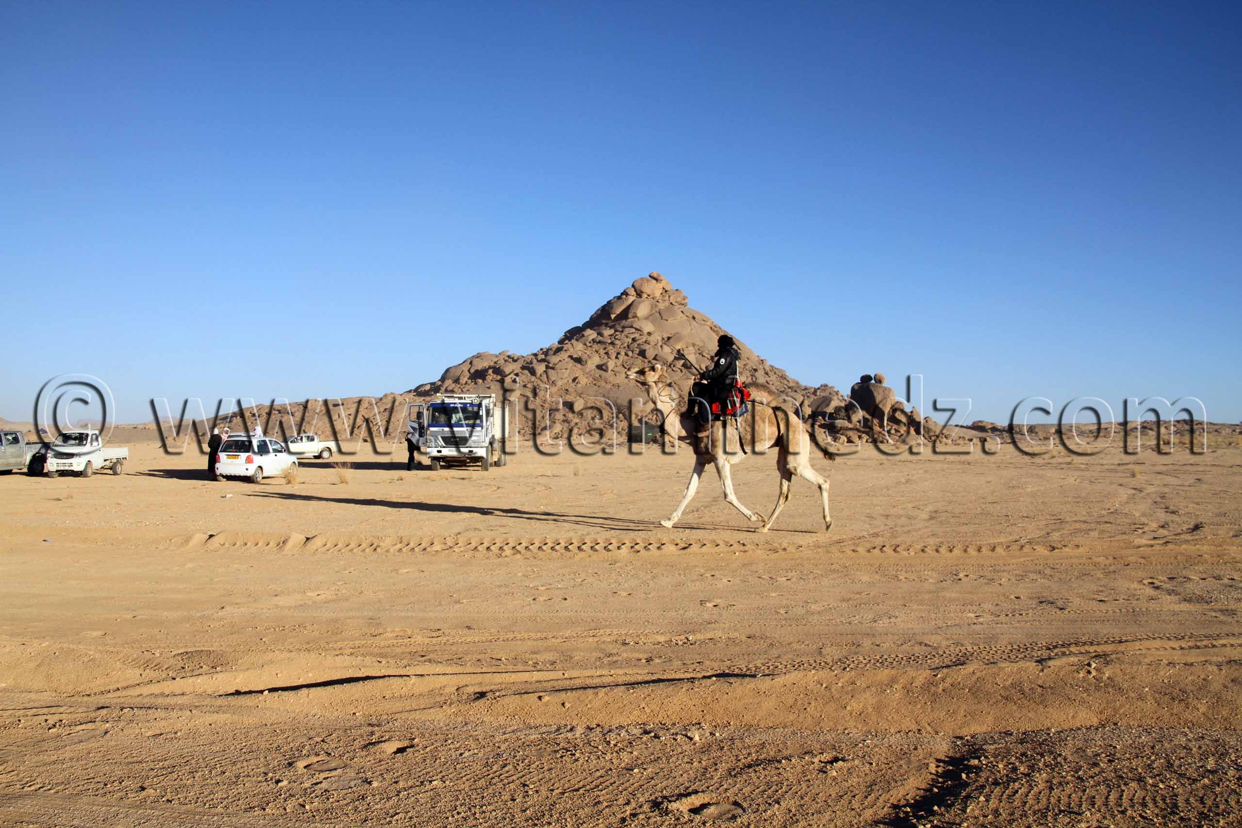 Courses de Méhari au niveau des régions de Tit - 3ème festival du dromadaire Amni dans la région de Tit (40 Km au nord de Tamanrasset)