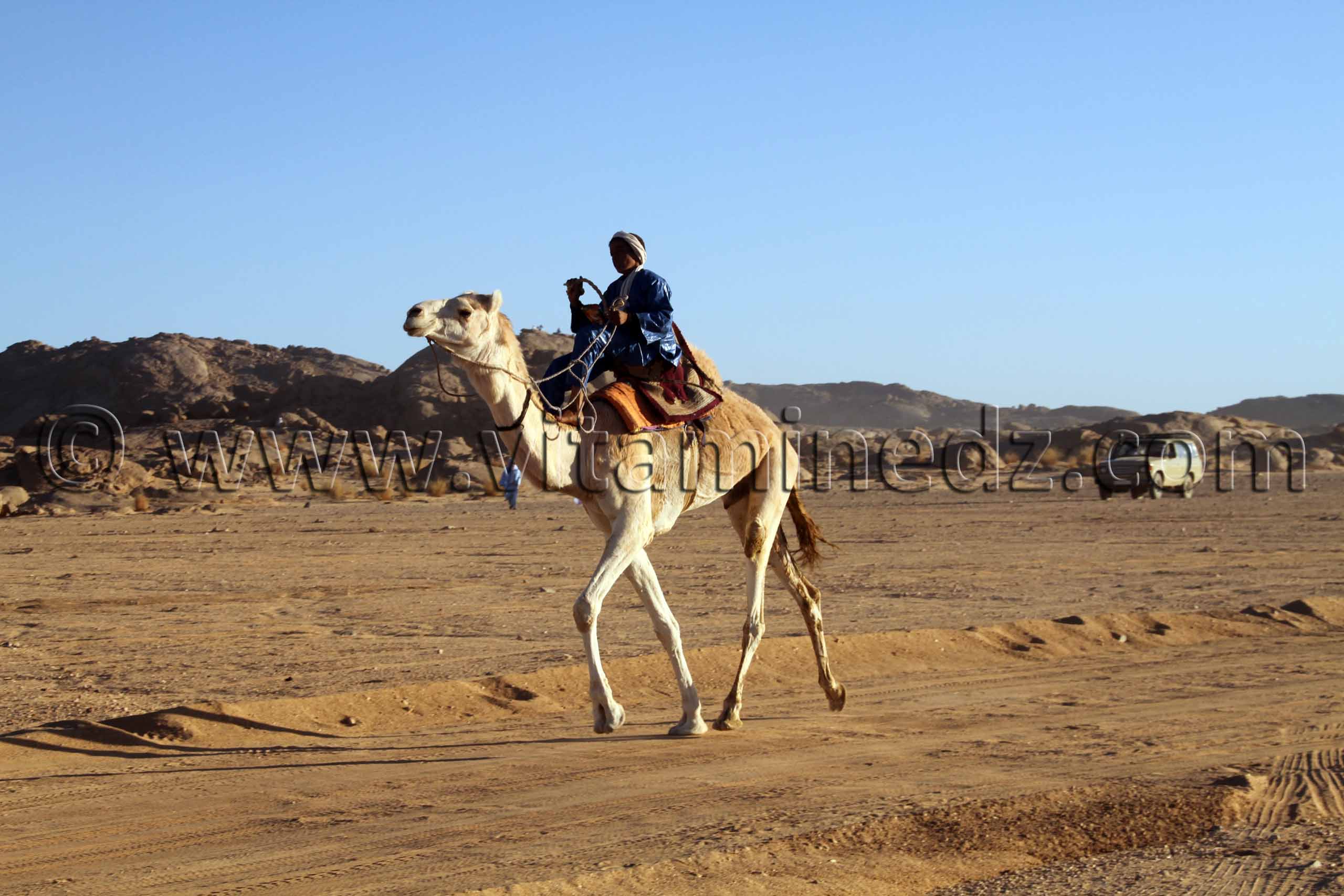 Le gagnant de la Course de Méhari au niveau des régions de Tit - 3ème festival du dromadaire Amni dans la région de Tit (40 Km au nord de Tamanrasset)