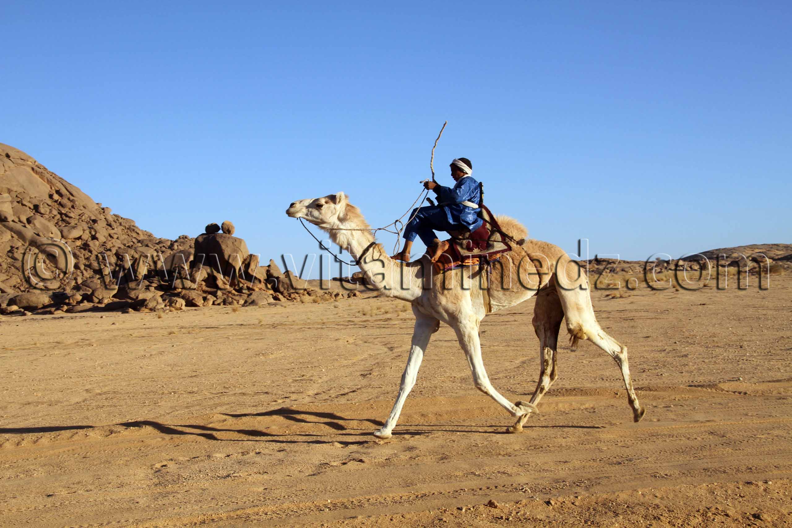 le 3ème festival du dromadaire Amni dans la région de Tit (40 Km au nord de Tamanrasset)
