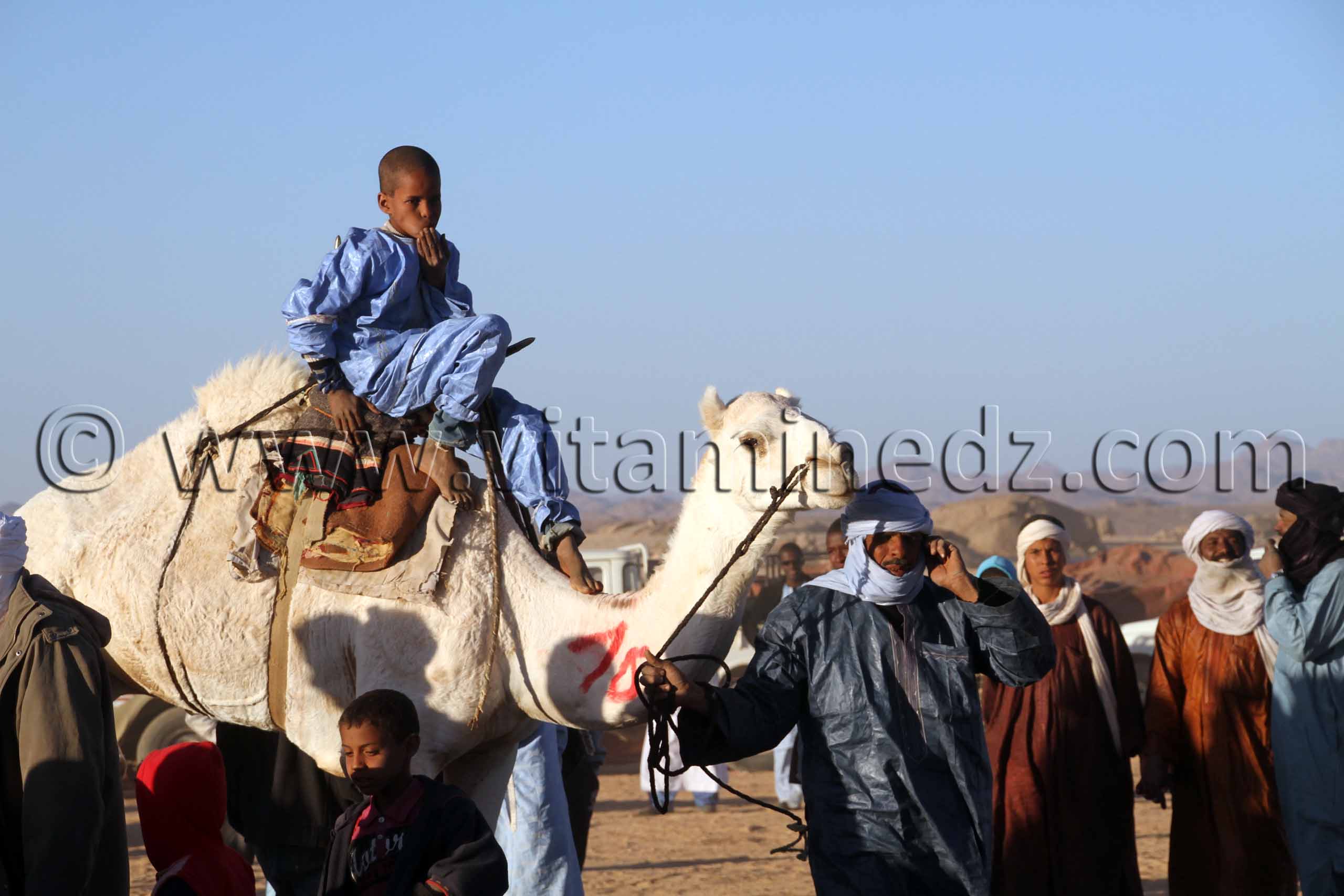 Le gagnant de la Course de Méhari au niveau des régions de Tit - 3ème festival du dromadaire Amni dans la région de Tit (40 Km au nord de Tamanrasset)