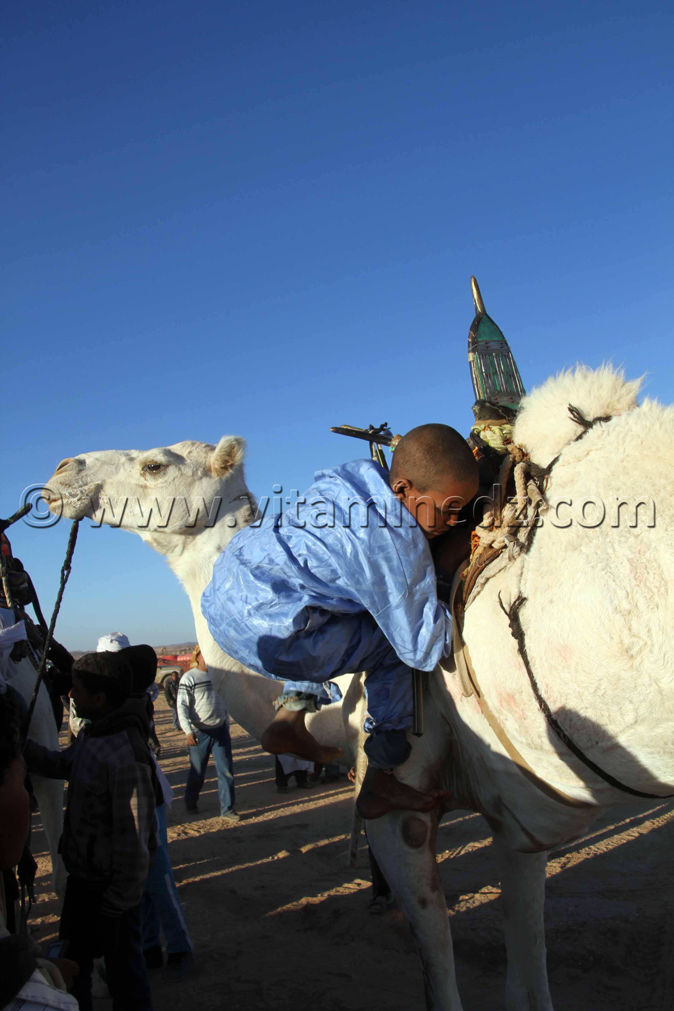 Le petit gagnant de la Course de Méhari au niveau des régions de Tit - 3ème festival du dromadaire Amni dans la région de Tit (40 Km au nord de Tamanrasset)