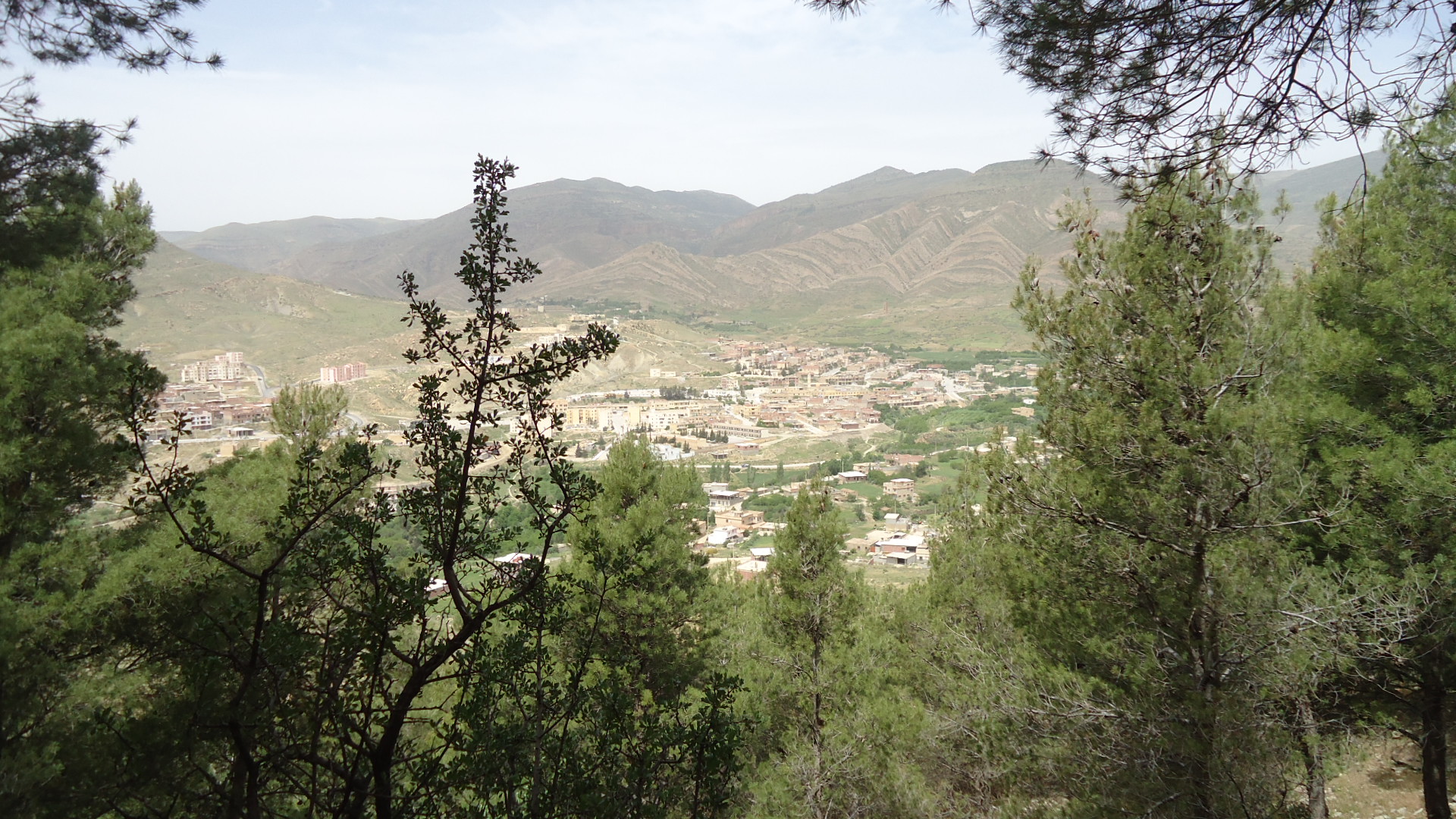 المعاضيد بالمسيلة