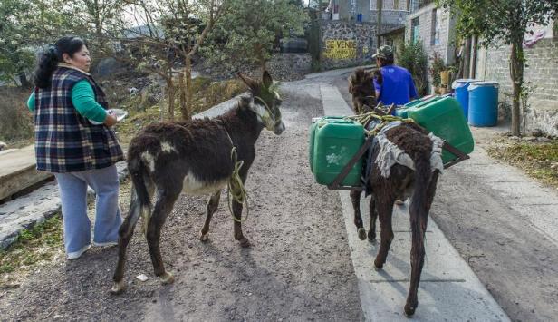Planète - L'accès à l'eau, un problème endémique au Mexique
