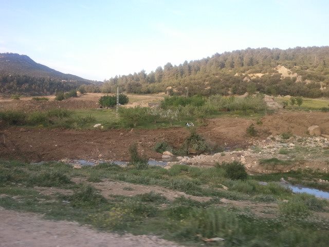 بولزازن بيابوس