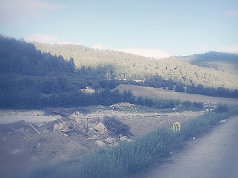 ازقاق يابوس