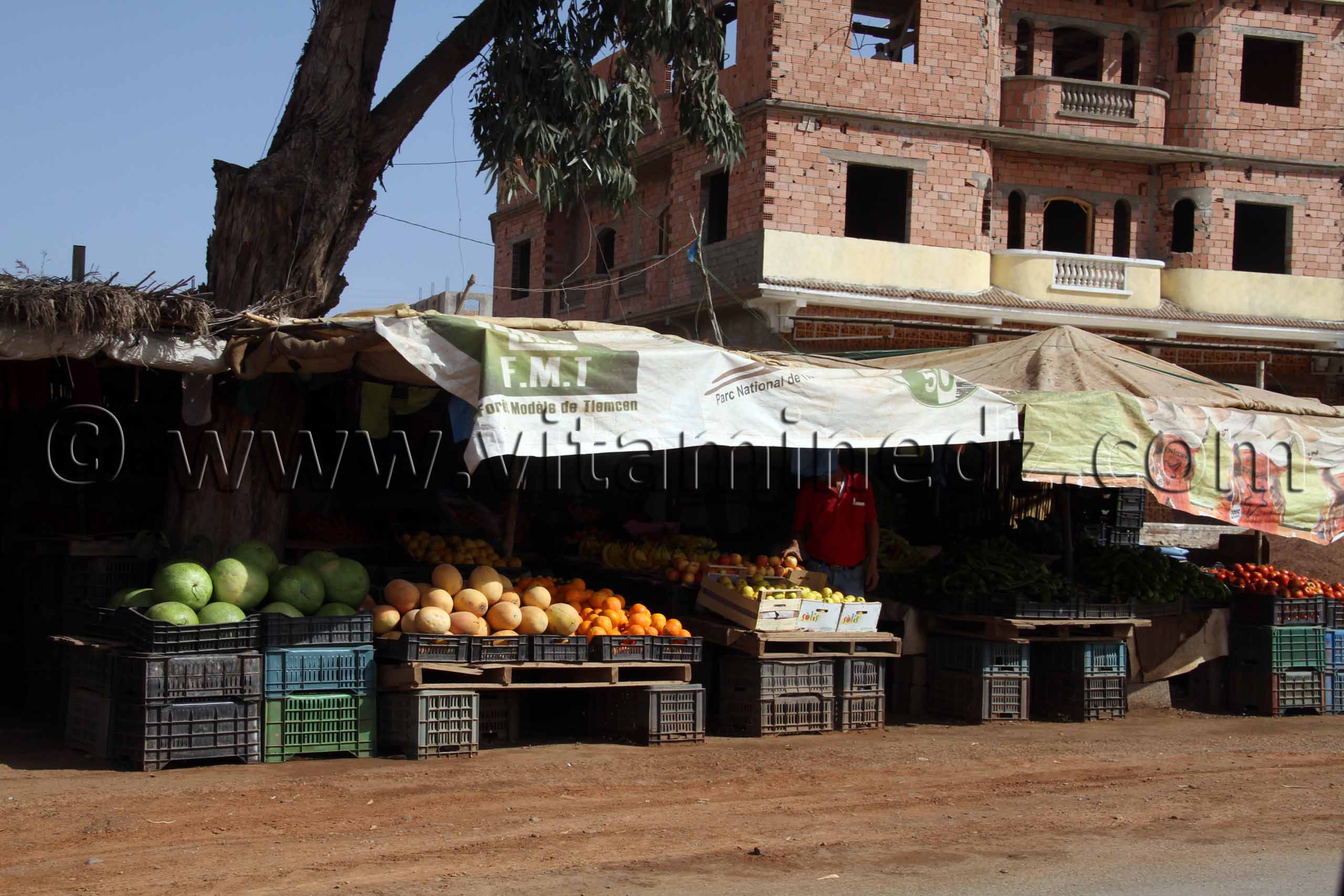 El Gouassir Région des Beni Ouarsous - Wilaya de Tlemcen