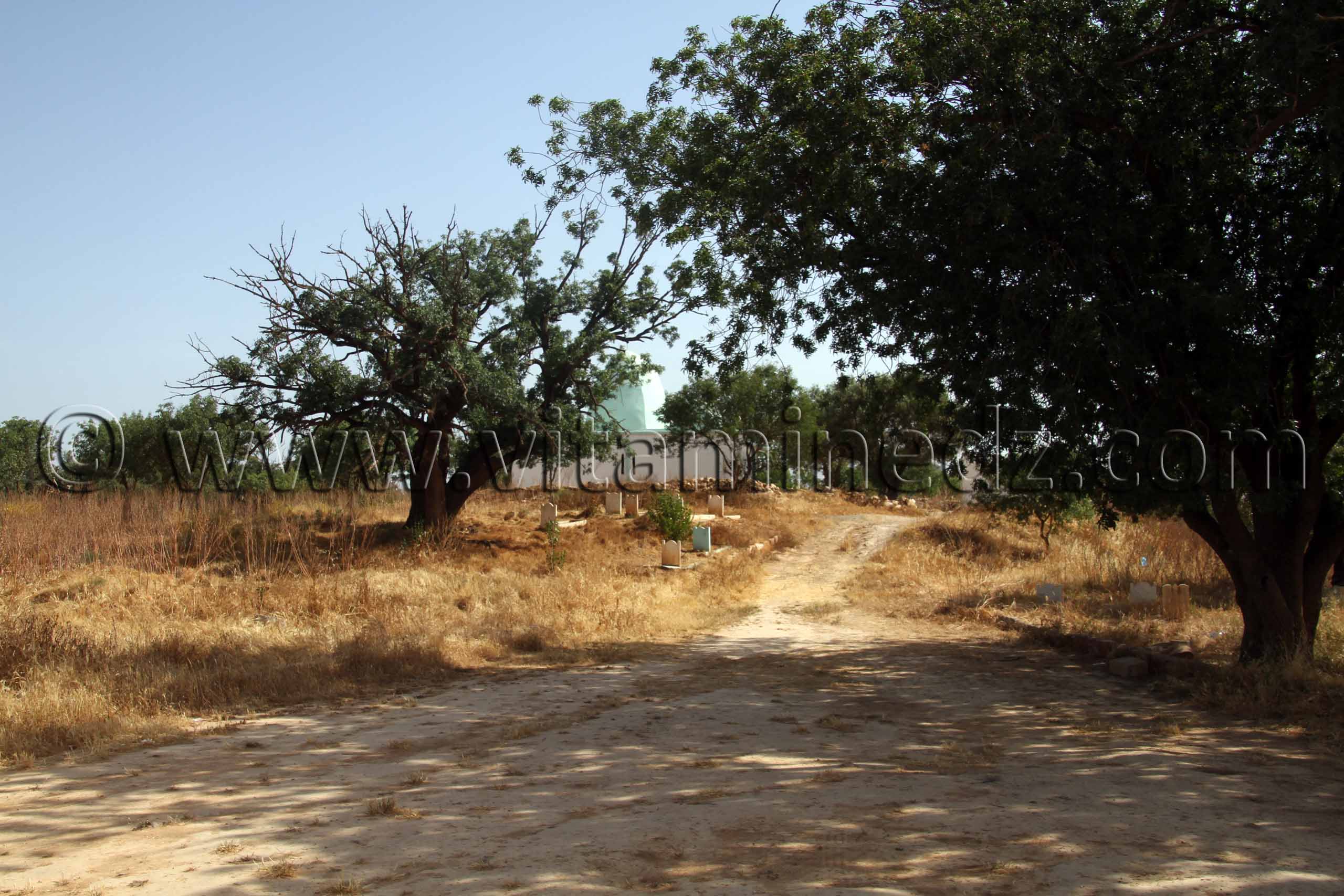 Cimetière de Sidi Boulenoir, Région des Beni Ouarsous - Wilaya de Tlemcen