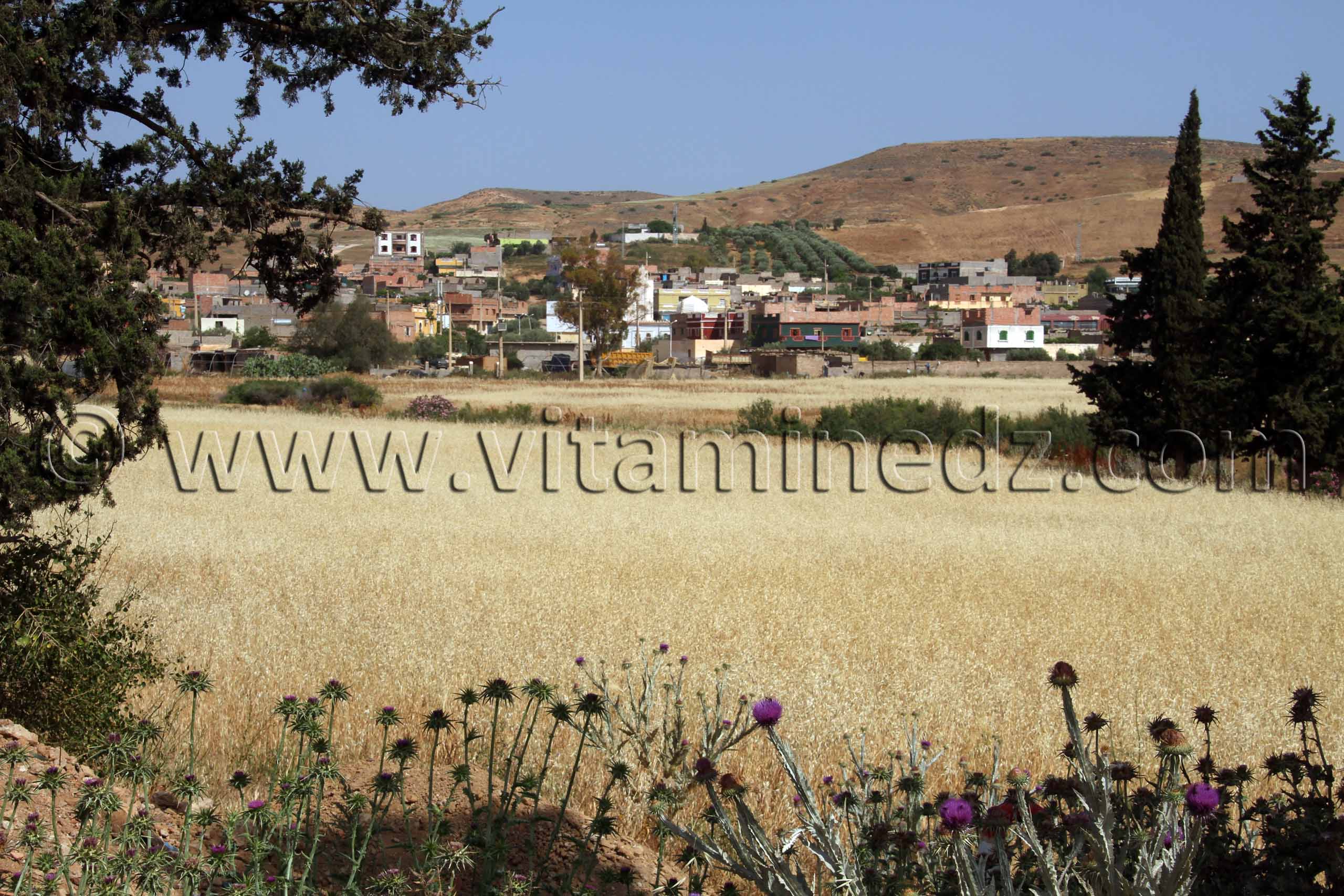 Sidi Bounouar, Beni Ouarsous - Wilaya de Tlemcen