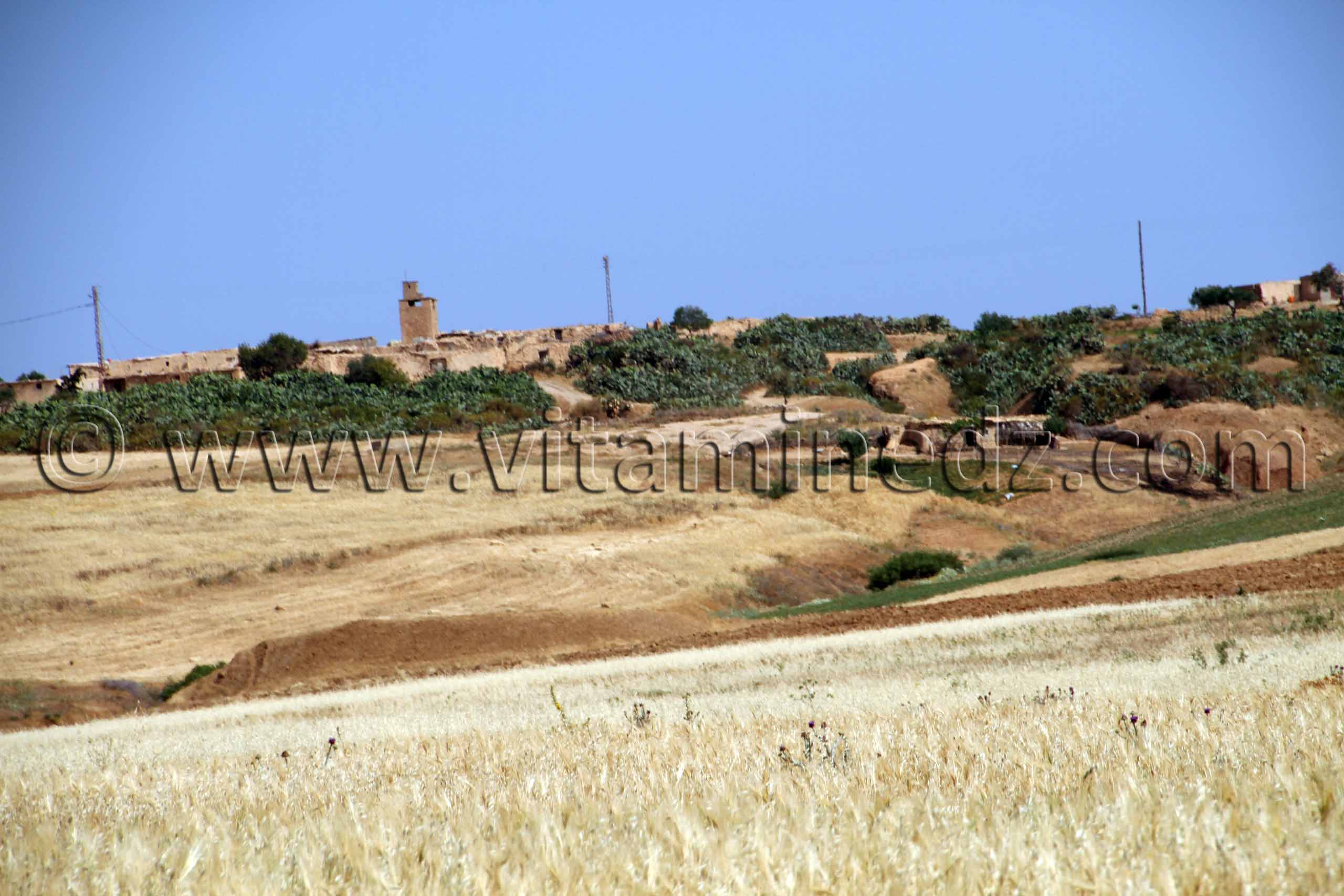 Ancien village de Dahmane Beni Ouarsous - Wilaya de Tlemcen