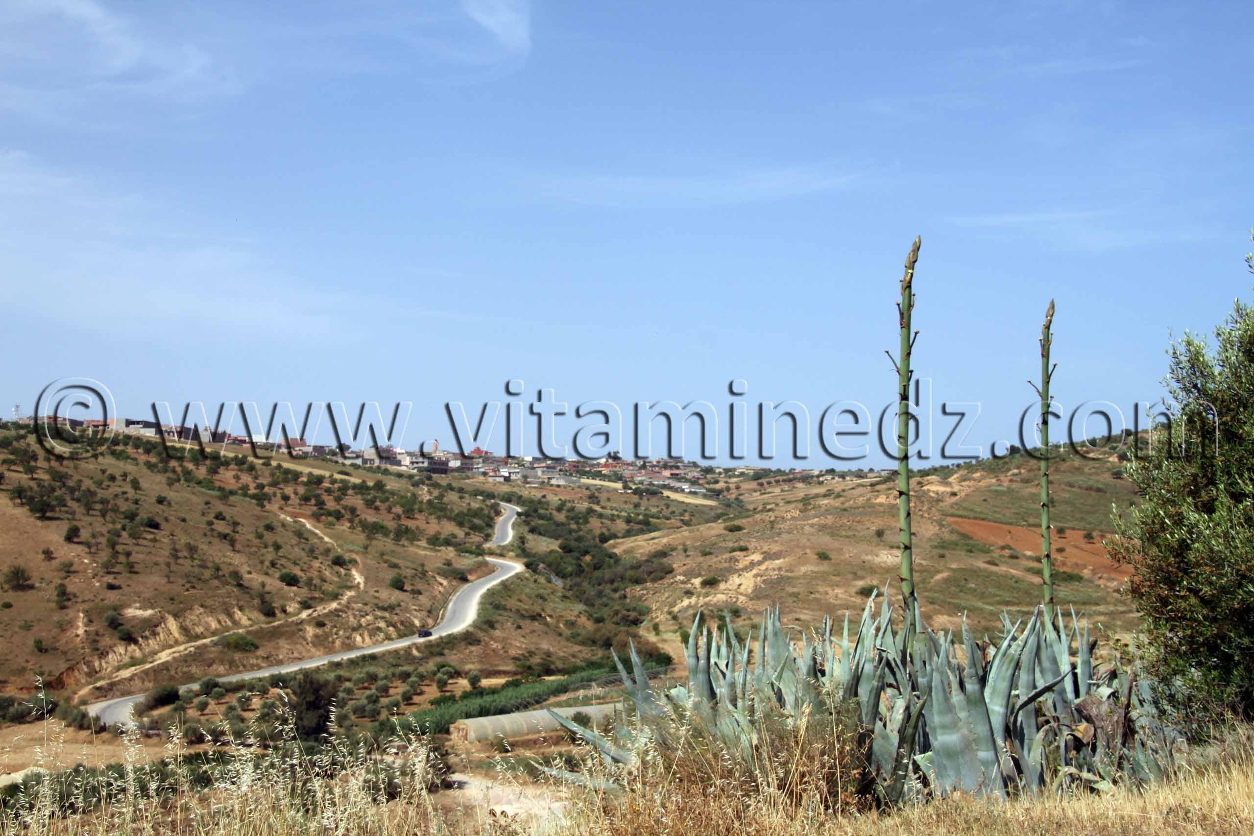 Bordj Arima, Beni Ouarsous - Wilaya de Tlemcen