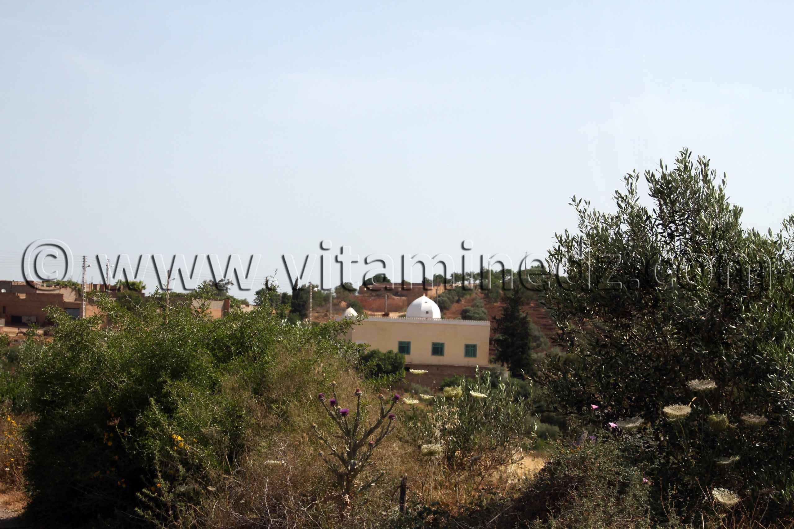Mosquée à Beni Ouarsous - Wilaya de Tlemcen