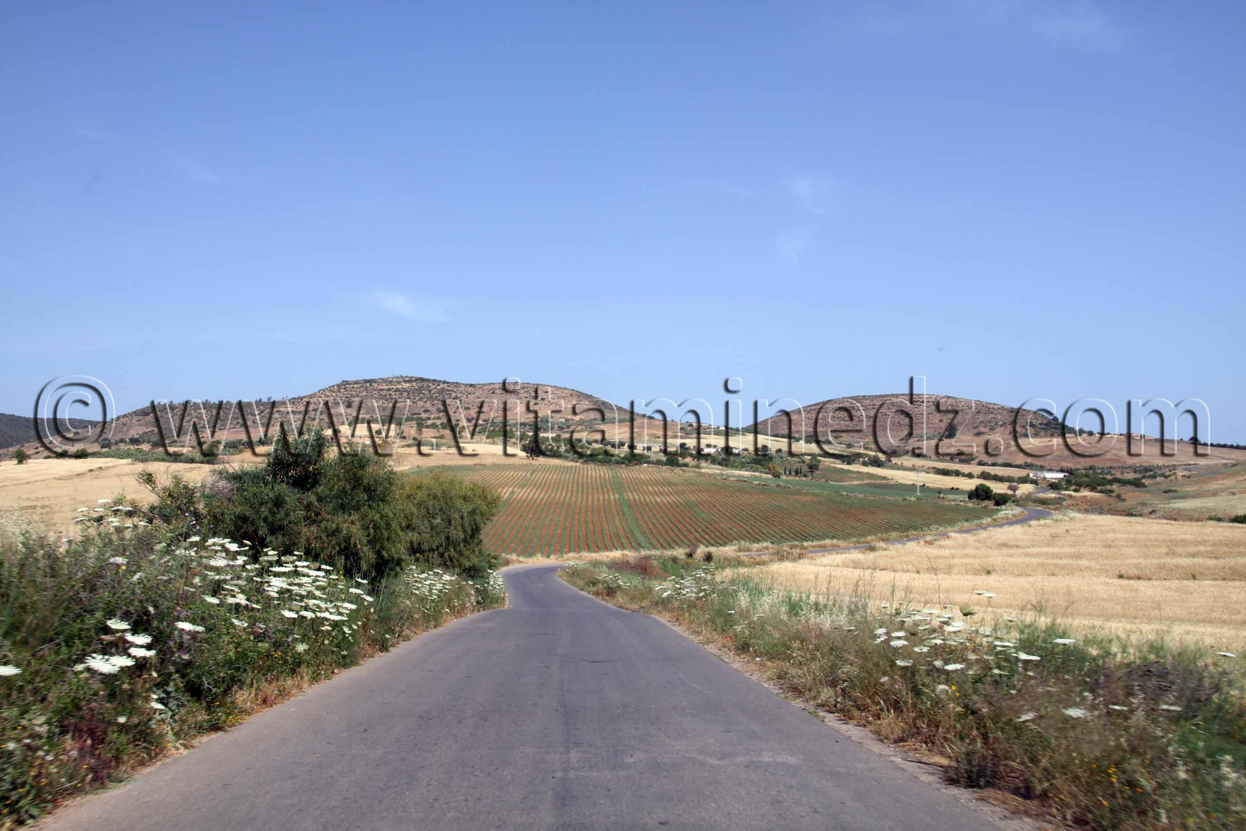 Sidi Ben Diaf,  Beni Ouarsous - Wilaya de Tlemcen